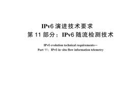GB／T 44887.11-2024 IPv6演进技术要求 第11部分：IPv6随流检测技术