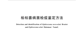 GB／T 28082-2011 榆枯萎病菌检疫鉴定方法