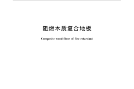 GB／T 24509-2009 阻燃木质复合地板