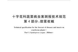 GB／T 23392.4-2009 十字花科蔬菜病虫害测报技术规范 第4部分：甜菜夜蛾