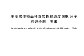 GB／T 39914-2021 主要农作物品种真实性和纯度SSR分子标记检测 玉米