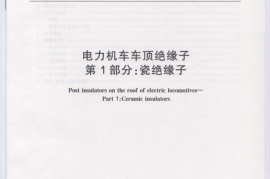 TBT3077-2006 电力机车车顶绝缘子(第1-2部分)