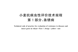GB／T 45211.1-2025 小麦抗病虫性评价技术规程 第1部分：条锈病