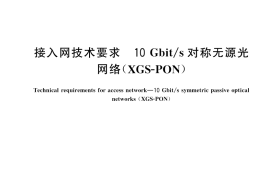 GB／T 43699-2024 接入网技术要求 10Gbit s对称无源光网络（XGS-PON）