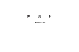 GB／T 26064-2010 锂圆片